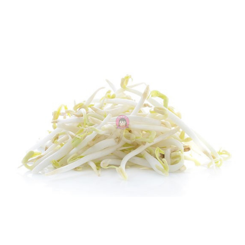 豆芽 (小) Beansprout (Regular )