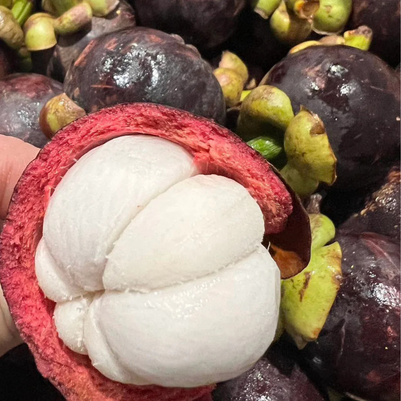 新鲜山竹 Fresh Mangosteen
