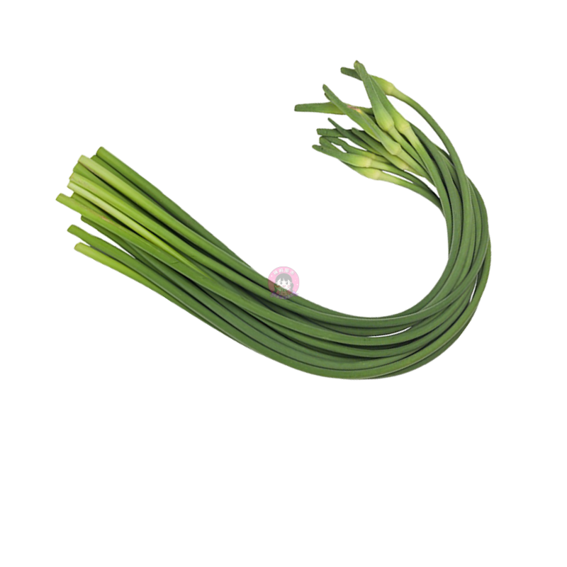 蒜台 Garlic Shoot