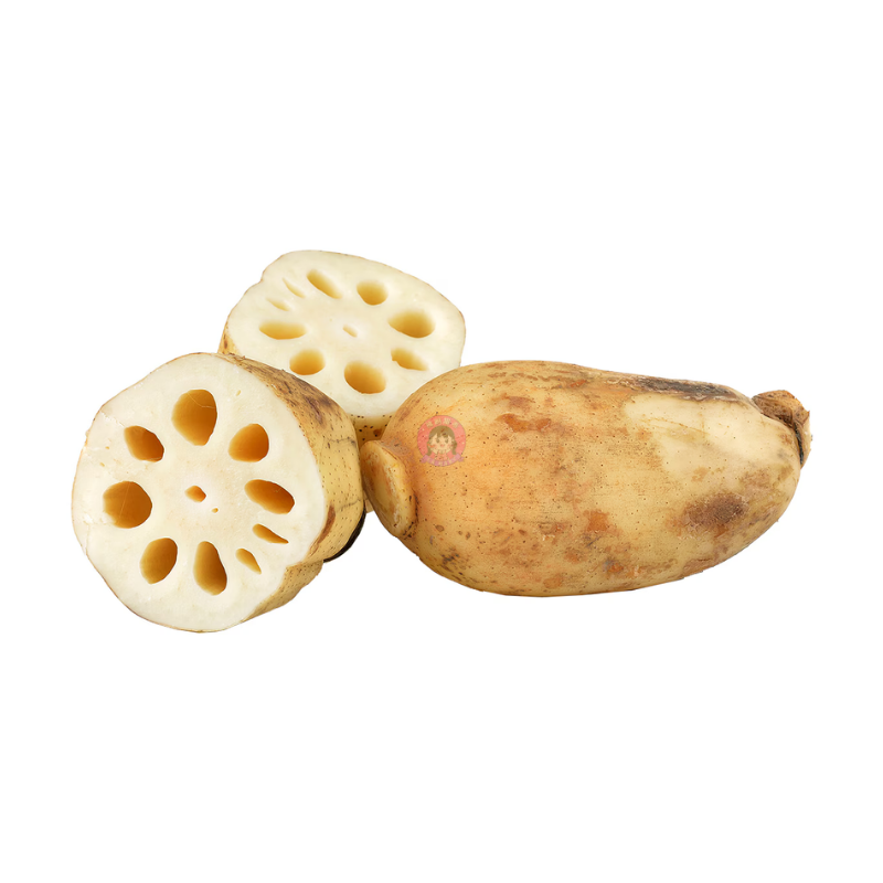 莲藕大 Lotus Root Large