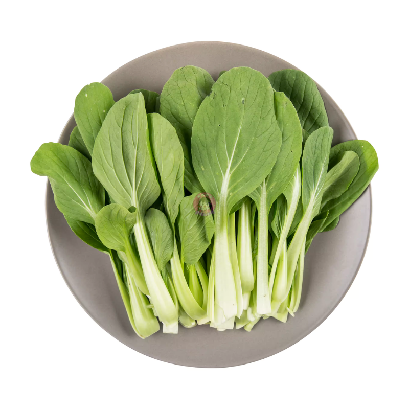 鸡毛菜 Mini Pak Choi