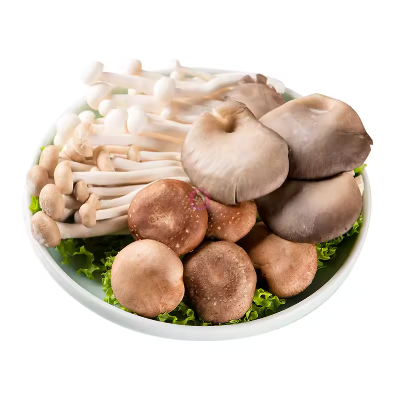 菌菇拼盘 Mushrooms Mixed Cultivated