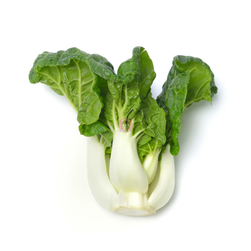 调羹菜 Spoon Pak Choi