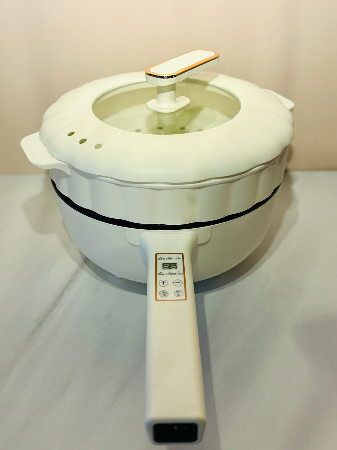 智能型电煎锅 Smart Model Electric Frying Pan