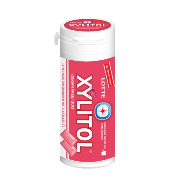 Lotte XYLITOL 29g