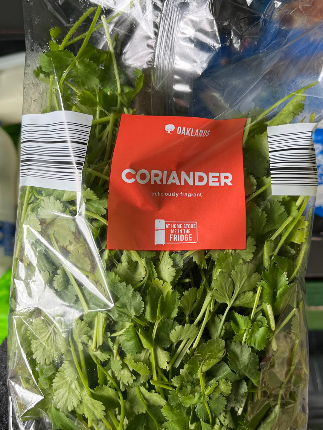 香菜 Coriander