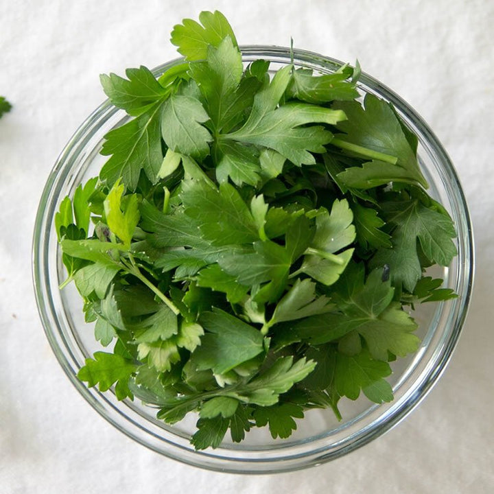 香菜 Coriander