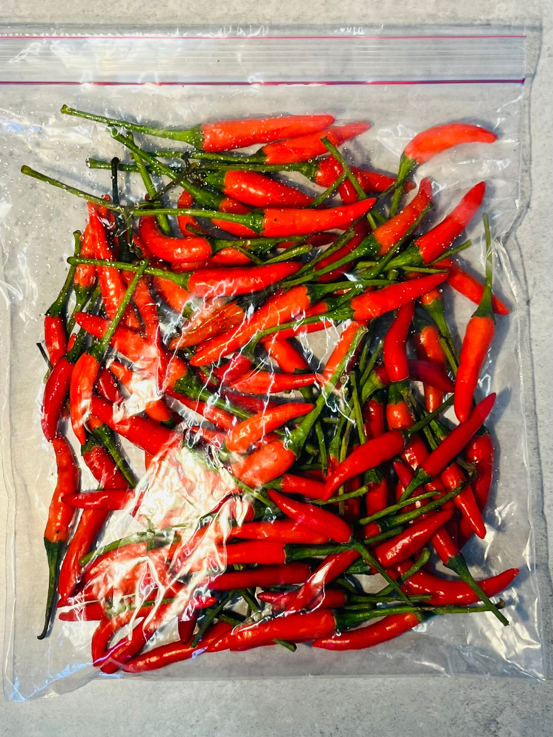 小米椒 Chili (Spicy)
